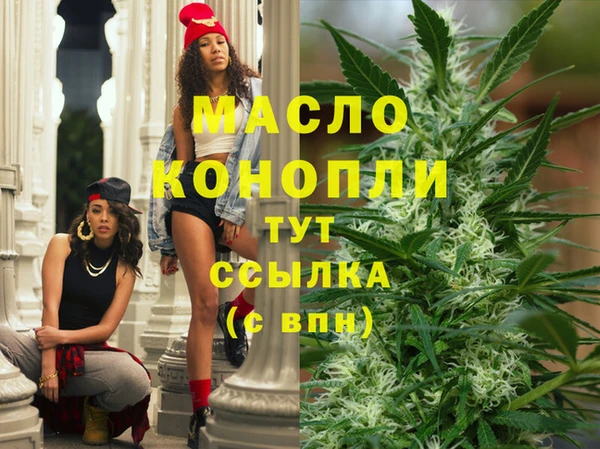 индика Абдулино