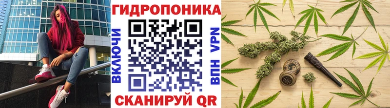 Бошки Шишки индика  MEGA   Конаково  как найти наркотики 